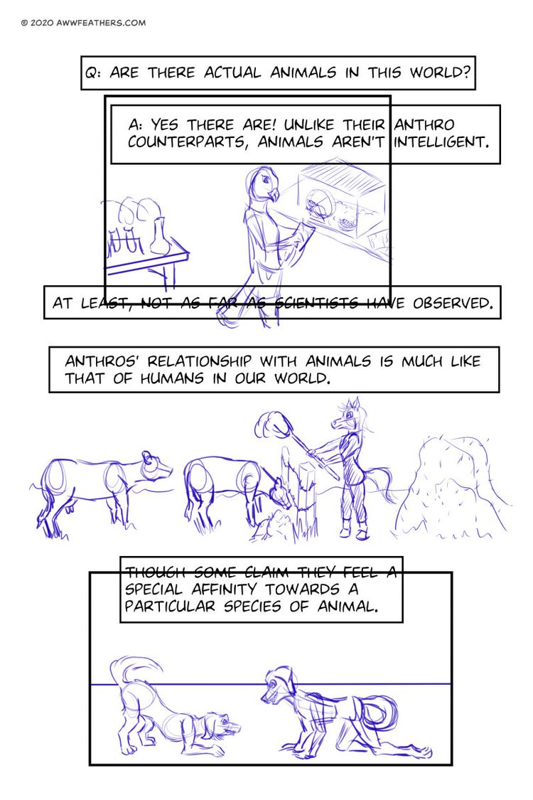 Behind the scenes image 2