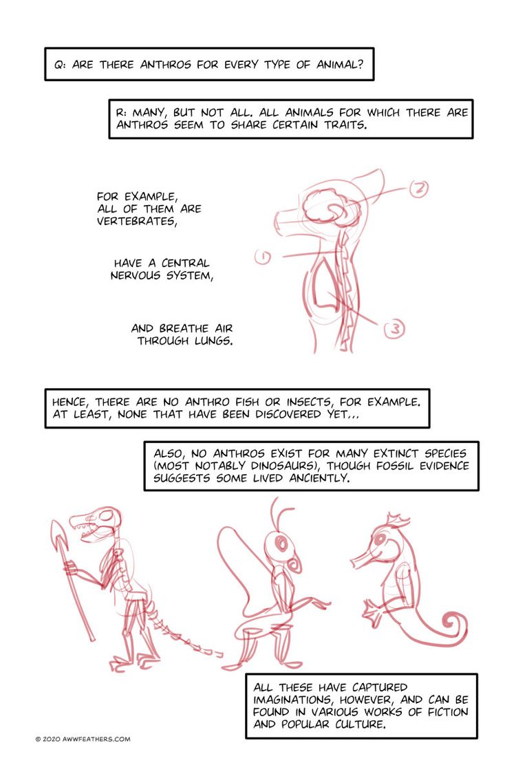 Behind the scenes image 1